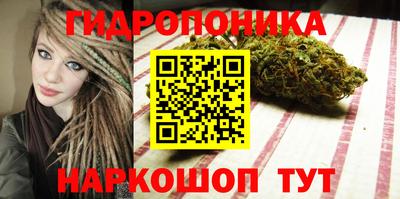альфа пвп Берёзовский