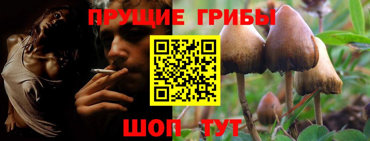 Ирбит  Псилоцибиновые грибы Magic Shrooms  Псилоцибиновые грибы Psilocybe  что такое наркотик  Вход с VPN 